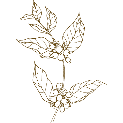 sections logo
