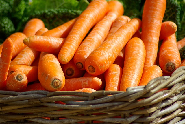 carrot- image